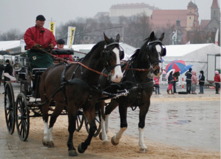 kalter_markt_ellwangen_gespanne